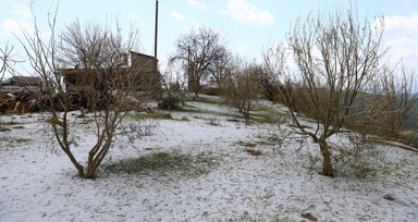 Dolu yağışı meyve ağaçları ve tarım alanlarına zarar verdi