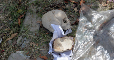 Çöpten kağıda sarılı insan kafatası çıktı