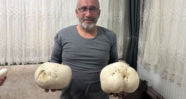 Ispartalı doğasever yürüyüş sırasında iki dev mantar buldu