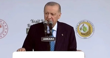 Cumhurbaşkanı Erdoğan'dan orman yangınları dikkat çağrısı ve belediyelere eleştiri: Reklama, konsere bütçe var ama yangın önlemi için yok