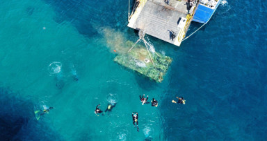 Saros Körfezi'ne tank batırıldı