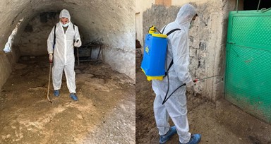 Kurban Bayramı öncesi Şırnak'ta şap paniği! Köy karantinaya alındı