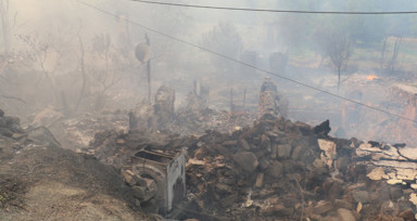 Sakarya'dan Bilecik'e sıçrayan yangın Köprücek köyünü kül etti