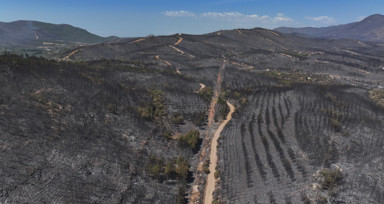 Yürek burkan görüntüler! İzmir'deki orman yangınından etkilenen bölgeler dronla görüntülendi