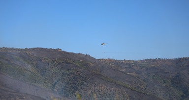 İzmir alev alev! 3 gündür yanan Ödemiş simsiyah oldu