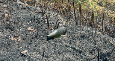 Yol kenarına atılan şişe anız yangını çıkarttı