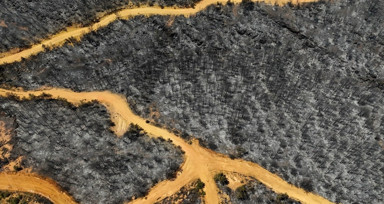 Uşak'ta orman yangınından etkilenen alanlar havadan görüntülendi