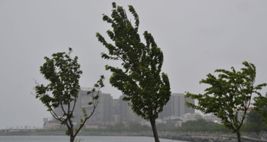 Meteoroloji günün raporunu açıkladı: Marmara'ya uyarı!