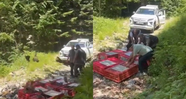 Bursa'da kene ile mücadele timleri doğaya salındı