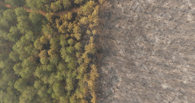 Bursa'daki orman yangını 4'üncü gününde; yanan alanlar dronla görüntülendi