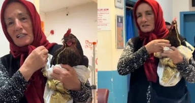 Boğazına iğne kaçan tavuğu için hastanede röntgen talebinde bulundu