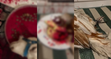 Bursa’da şaman ayini! Evinde keçi ve horoz kesti; gözaltına alındı