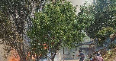 Malatya'da Orman Yangınına Müdahale Devam Ediyor