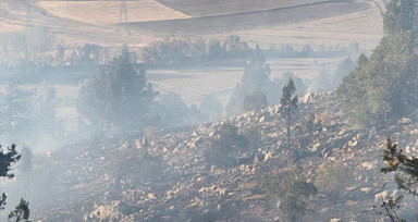 Adana'daki Orman Yangını Kontrol Altına Alındı