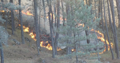 Kastamonu'da yangın devam ediyor! Kara yolu trafiğe kapatıldı, 9 köy tahliye edildi