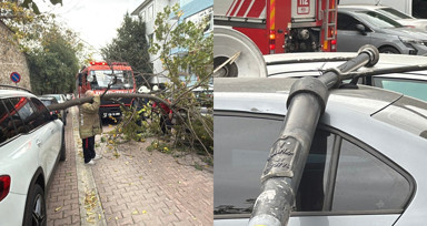 İstanbul'da lodos etkili oldu! Beşiktaş ve Şişli’de ağaçlar ve elektrik direği araçların üstüne devrildi