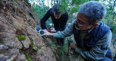 Sındırgı'daki saha araştırmasında gözle görülür fark: Ölü faylar uyandı