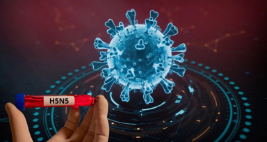 H5N5 paniği: Dünyada ilk kez can aldı!