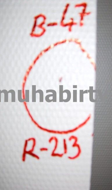 Münevver Karabulut'un Cem Garipoğlu tarafından vahşice katledildiği ev bakın şimdi ne halde! Ev sahibi 'Lanetli ev, satsan satılmıyor, atsan atılmıyor' demişti - Resim: 18