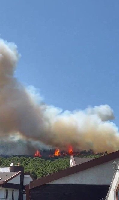Aydos Ormanı'nda yangın çıktı - Resim: 3