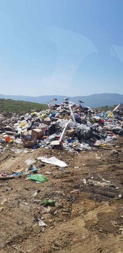 İzmir Büyükşehir Belediyesi’nin 3 katı atık tesisine 9.3 milyon TL çevre cezası - Resim: 4