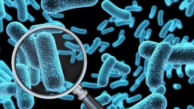 Dünya alarma geçti: İngiltere'den Strep A için hamle!
