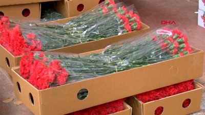 İhraç çiçekler Bulgaristan Sınırında En Az 40 SAAT Bekliyoruz