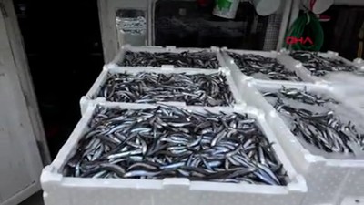 Amasra'da balıkçılar 375 ton hamsi yakaladı