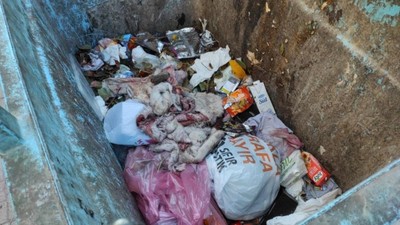 Şanlıurfa'da çöpten eşek ayakları ve derisi çıktı