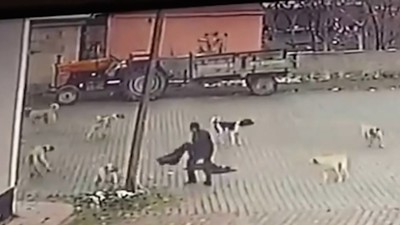 Sahipsiz köpeklerin 69 yaşındaki kişiye saldırması güvenlik kamerasında