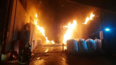 Milas'taki balık yemi fabrikasında yangın çıktı