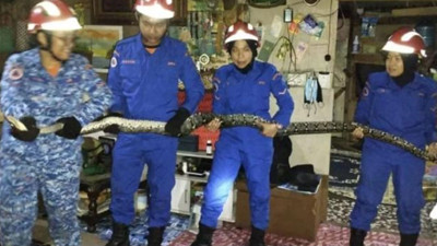 Malezya'da akılalmaz olay! Televizyon seyrederken tavandan 3 metrelik yılan düştü