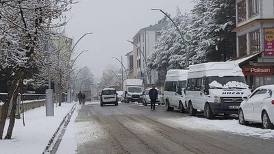 Ölen inek kuduz çıkınca Hozat'ta 6 ay yasak getirildi