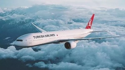 THY uçağı kuş sürüsüne girdi