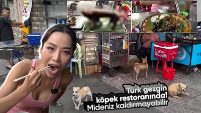 Türk gezgin Fatih Koparan Vietnam'da köpek eti satan restorana gitti! "Köpek çevirme" yapıldığını görünce kokuya dayanamadı kusmamak için kendisini zor tuttu
