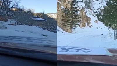Kahramanmaraş'ta depremin ardından yürek ısıtan görüntü! O köpek yardım konvoyuna rehber oldu