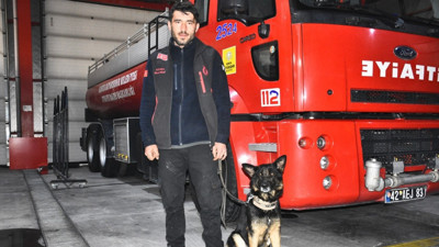 Hatay'da meydana gelen depremde arama-kurtarma köpeği "Gece" 18 canı kurtardı!