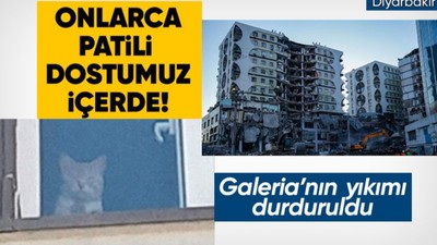 İçerisinde canlı hayvanların olmasına rağmen depremde ağır hasar gören Galeria İş Merkezi ve üstündeki sitenin yıkımına başlanmıştı: Yıkım durduruldu!