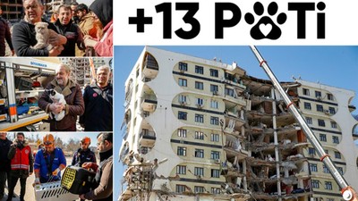 Diyarbakır'da ağır hasar alan ve yıkımı istenen Galeria'dan 13 kedi kurtarıldı!