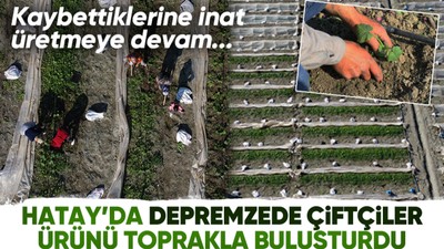 Deprem bölgesi Hatay'da çiftçiler, üretime geçmeye başladı