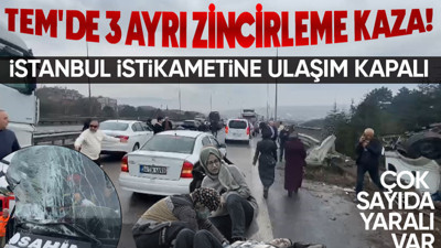 Son dakika! TEM Otoyolunda zincirleme kazada çok sayıda kişi yaralandı! İstanbul istikametine ulaşım kapandı