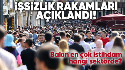 Son dakika! İşsizlik rakamları açıklandı
