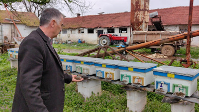 Bursa'nın İnegöl ilçesinde meydana gelen toplu arı ölümlerinin nedeni belli oldu! Numune alınıp tutanak tutuldu...