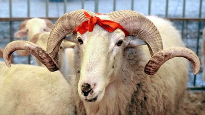 Kurban Bayramı ne zaman, bayram tatili kaç gün?