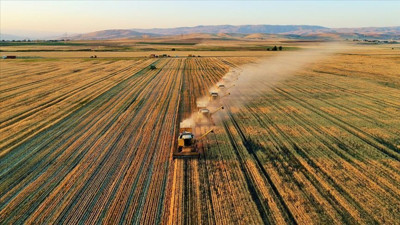 Tarım ve Orman Bakanlığı çiftçilere müjdeyi duyurdu: 38 milyon 293 bin 356 liralık ödeme bugün hesaplara geçiyor