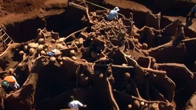 Karınca yuvasının içi ilk kez görüntülendi! 3 gün beton döktüler, otoban, bahçe ve binden fazla oda buldular