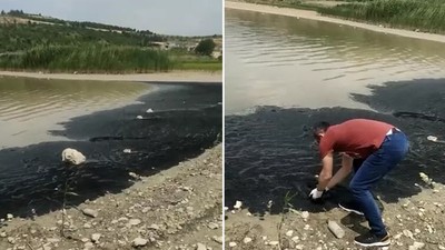 Bursa'da şaşırtan görüntü! Boğazköy Barajı'nın yüzeyi siyaha büründü