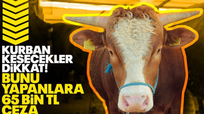 Kurban Bayramı'na sayılı günler kala dikkat çeken karar! Bunu yapana 65 bin TL ceza geliyor