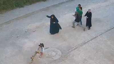 Şanlıurfa köpek saldırısı! O anlar kamerada