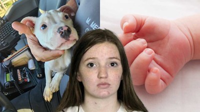ABD'de tüyler ürperten olay! Genç anne 4 aylık bebeği ile pitbullu aynı odada bıraktı! Sesleri duyup odaya koştu! Sonrası korkunç...